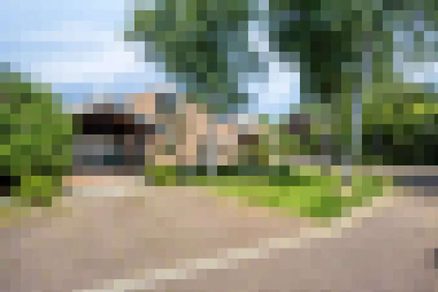 Moerasvaren 64 Purmerend thumbnail 5