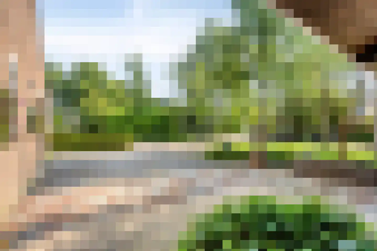 Moerasvaren 64 Purmerend thumbnail 52
