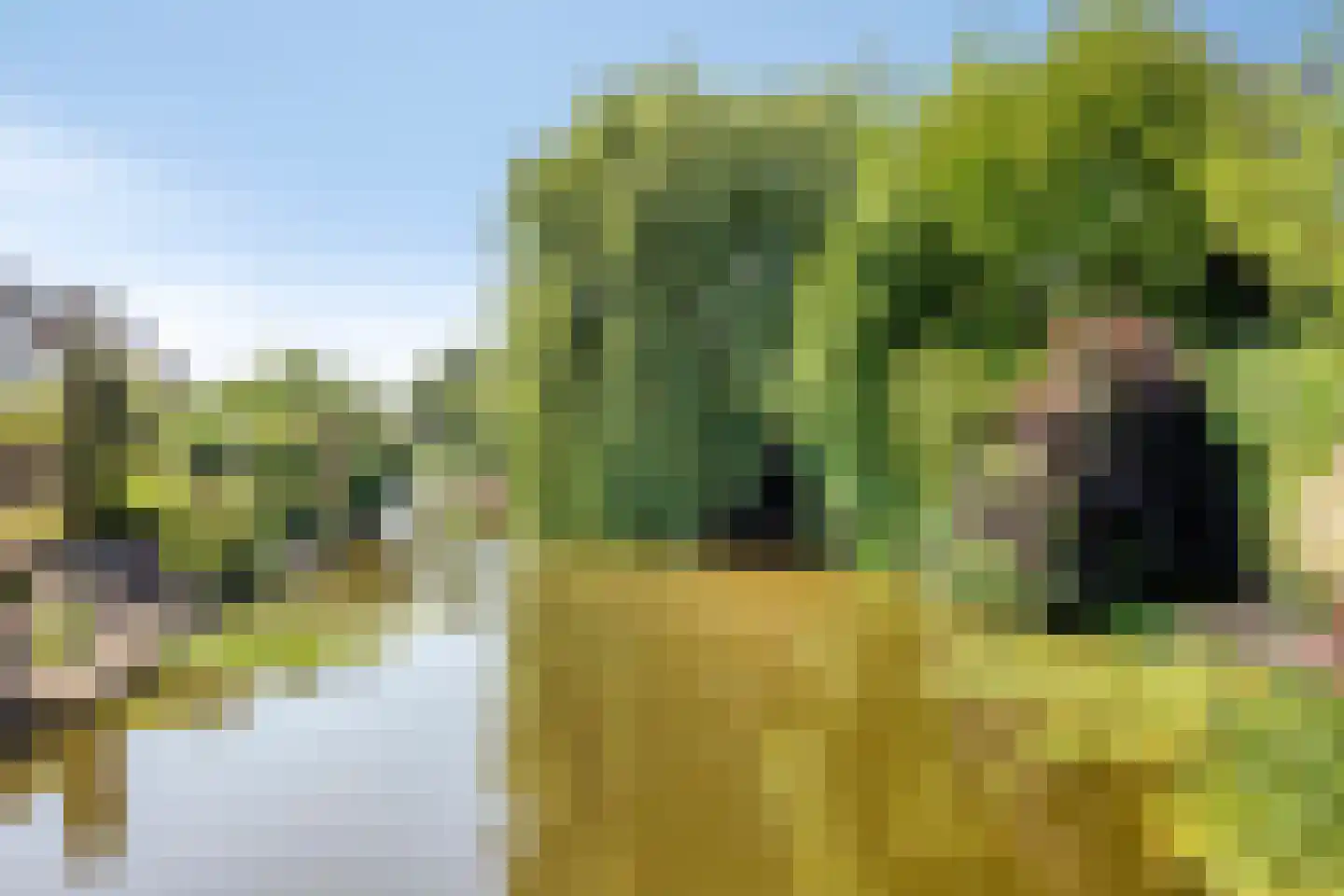 Moerasvaren 64 Purmerend thumbnail 55