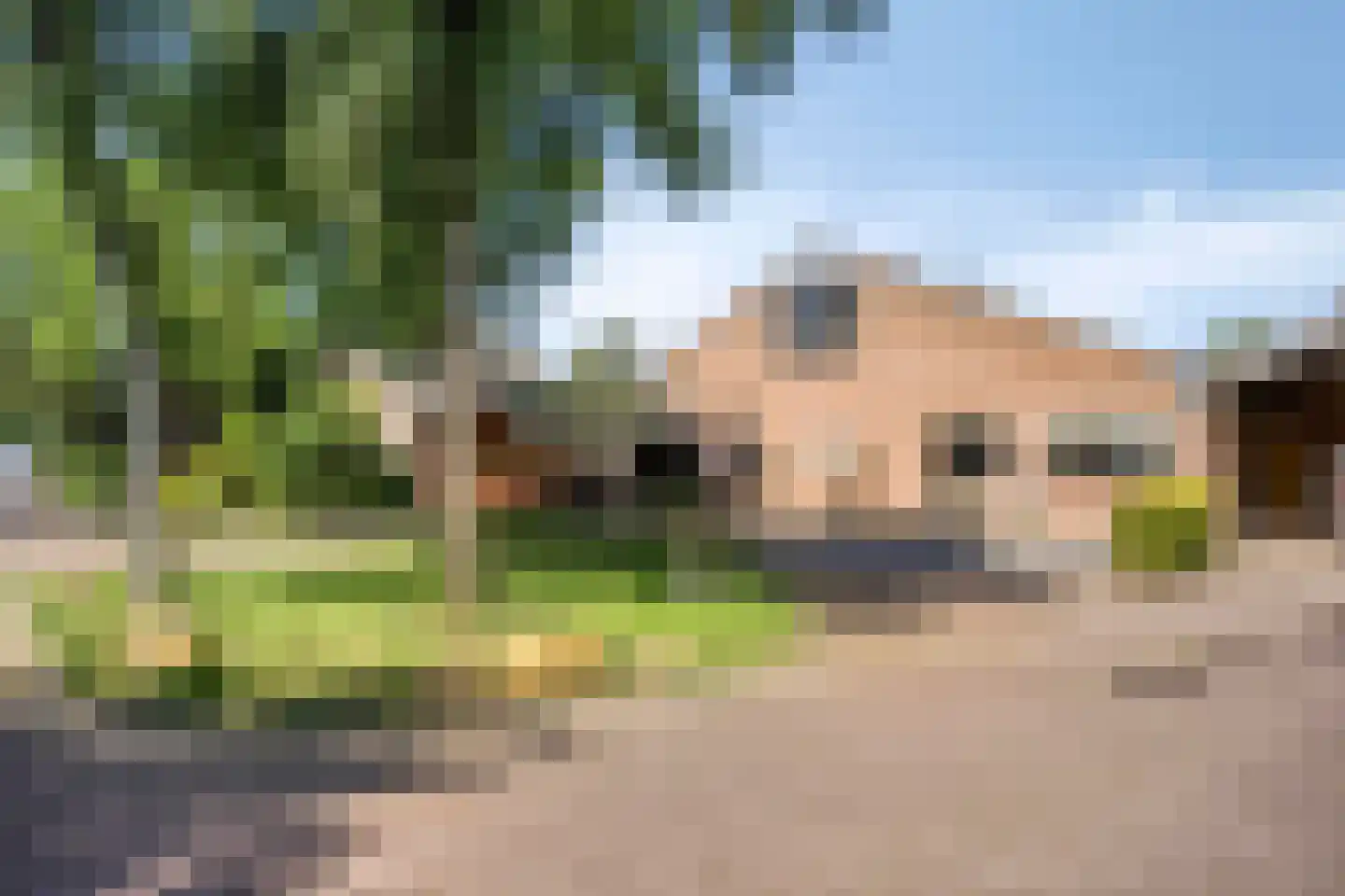 Moerasvaren 64 Purmerend thumbnail 57