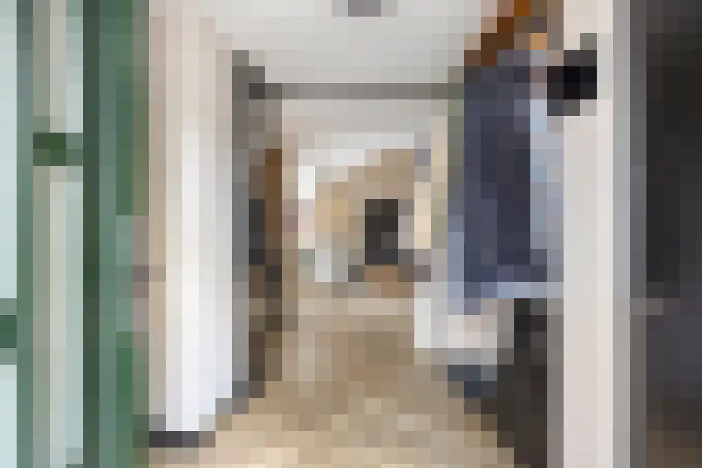 Moerasvaren 64 Purmerend thumbnail 9