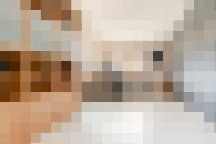 Moeraswederik 30 Den Haag thumbnail 35