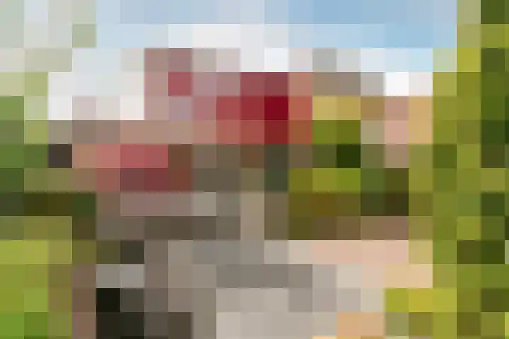 Moeraswederik 30 Den Haag thumbnail 37