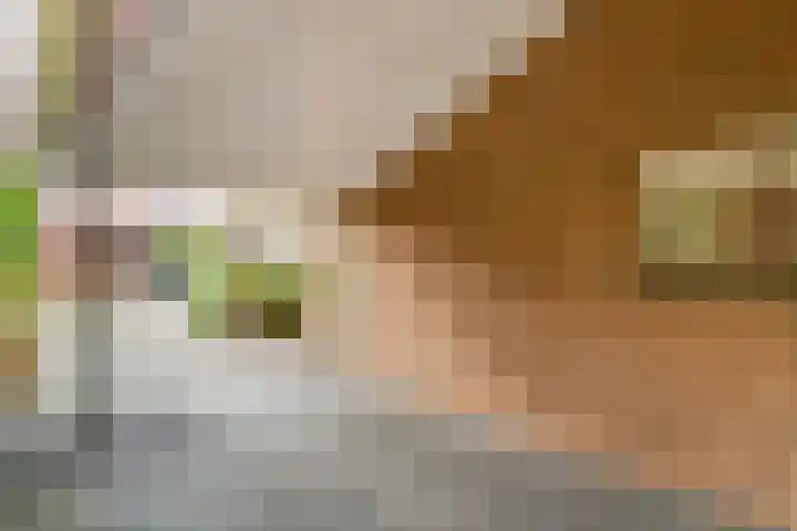 Moeraswederik 30 Den Haag thumbnail 4