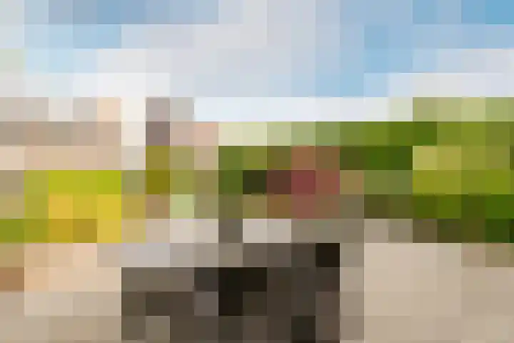 Moeraswederik 30 Den Haag thumbnail 40