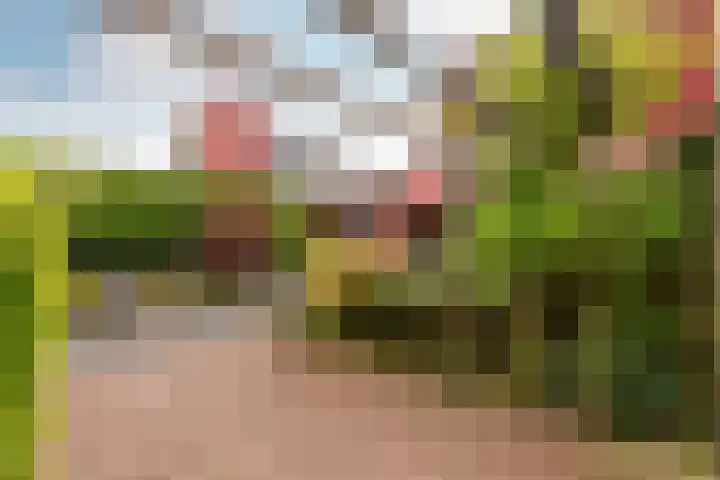 Moeraswederik 30 Den Haag thumbnail 43