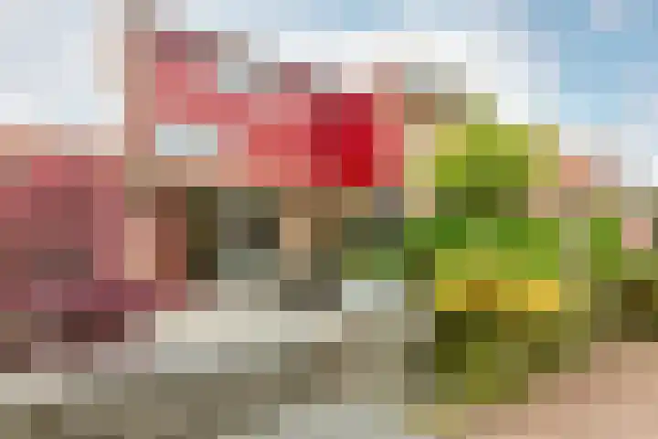 Moeraswederik 30 Den Haag thumbnail 44