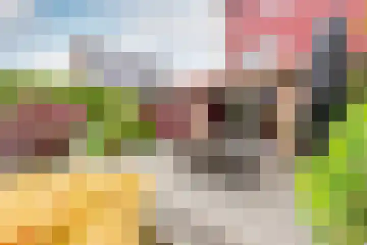 Moeraswederik 30 Den Haag thumbnail 45