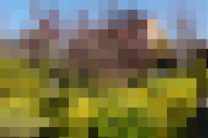 Moeraswederik 30 Den Haag thumbnail 5