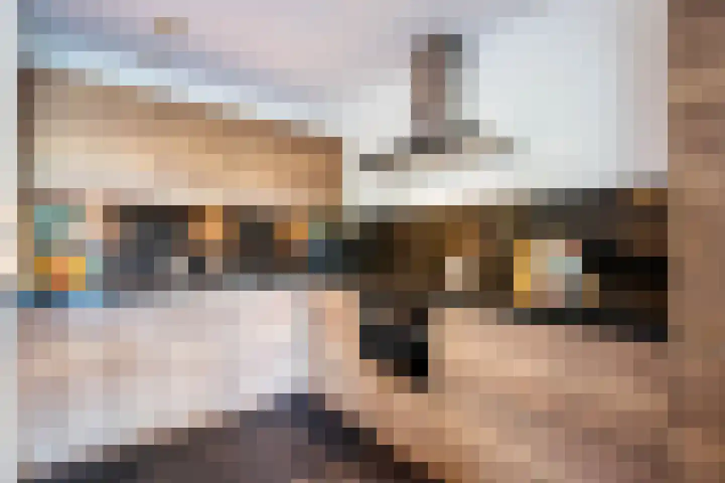 Moeraszegge 11 Breda thumbnail 11
