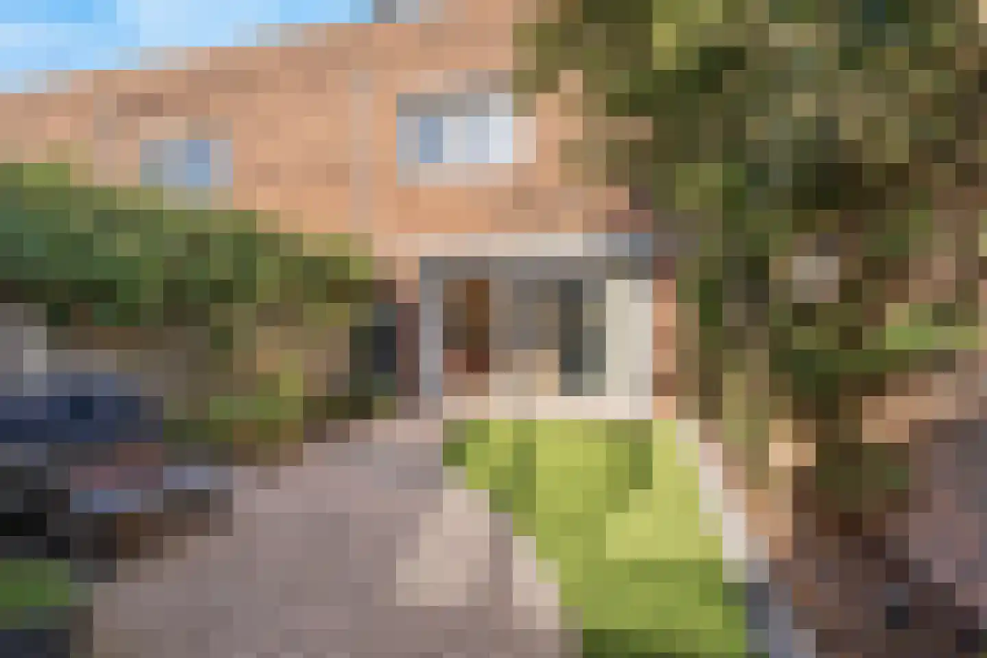 Moeraszegge 11 Breda thumbnail 29