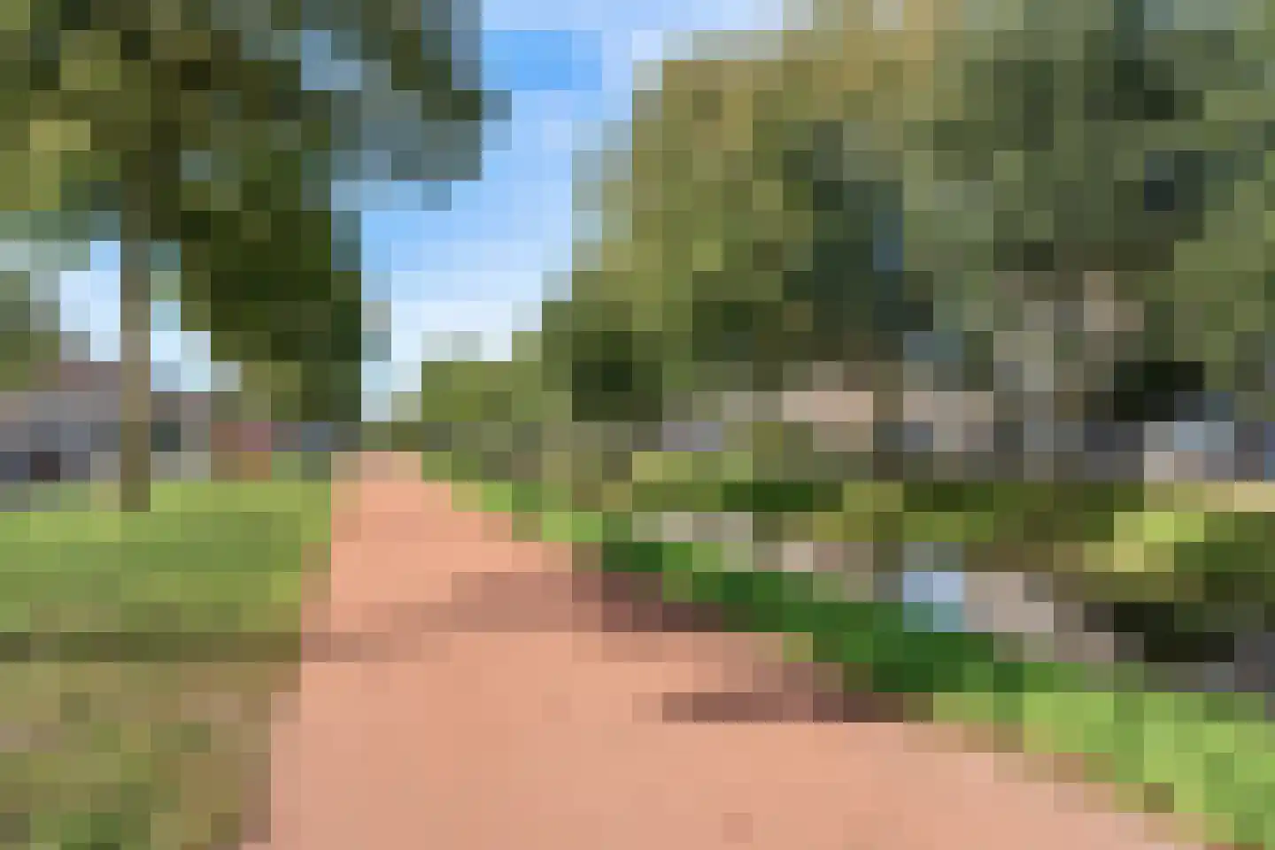 Moeraszegge 11 Breda thumbnail 31