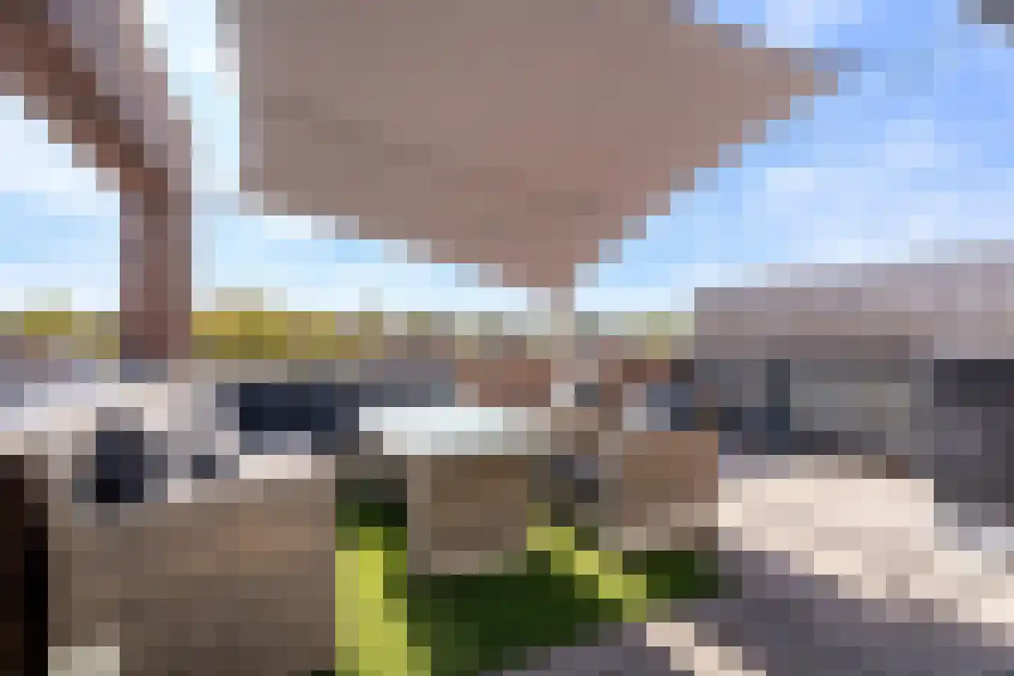 Moeraszegge 11 Breda thumbnail 5