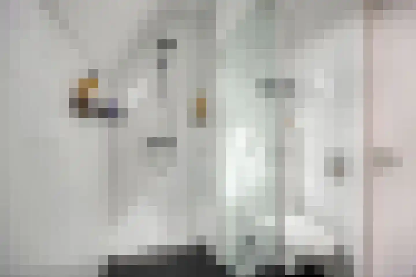 Moerbalk 12 Hoorn thumbnail 13