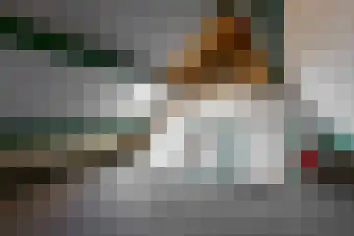 Moerbalk 18 Hoorn thumbnail 21