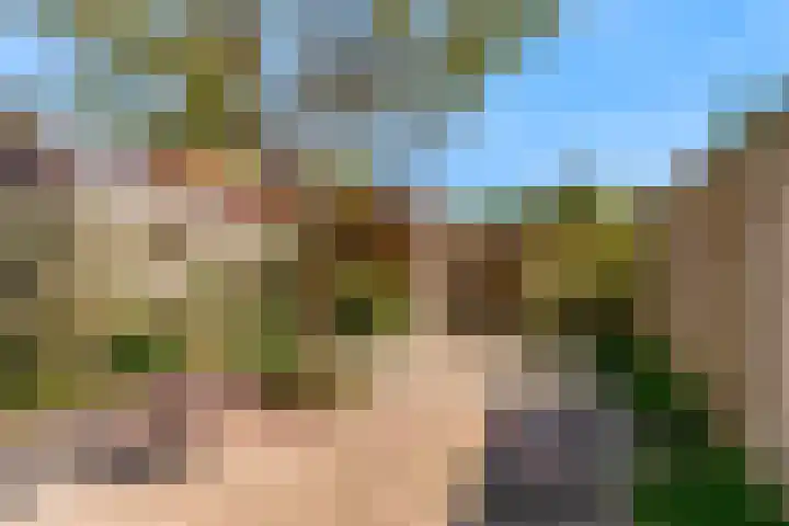 Moerbalk 18 Hoorn thumbnail 23