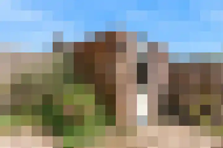 Moerbalk 18 Hoorn thumbnail 25
