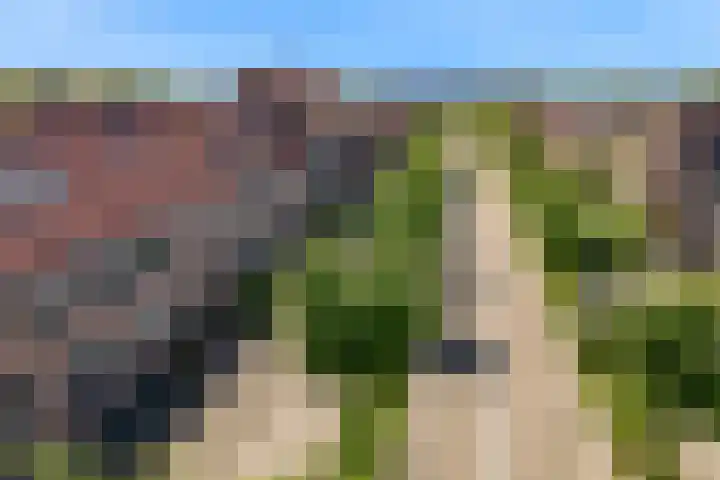 Moerbalk 18 Hoorn thumbnail 28