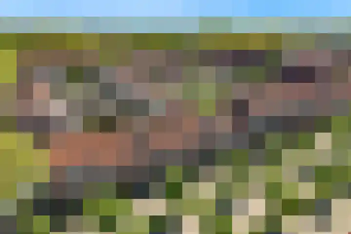 Moerbalk 18 Hoorn thumbnail 5