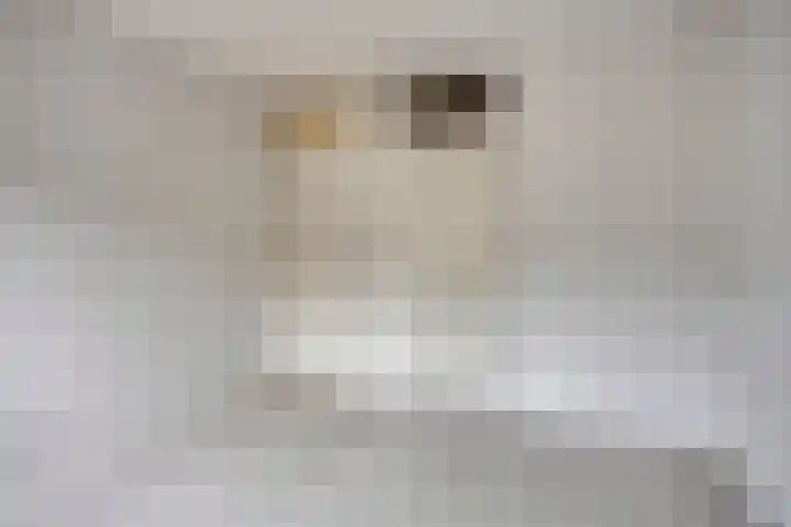Moerbalk 73 Hoorn thumbnail 11