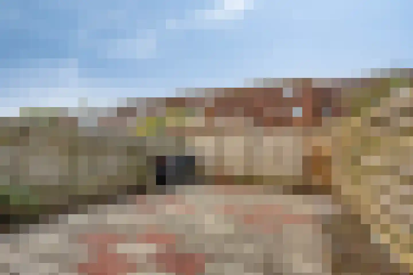 Moerbalk 73 Hoorn thumbnail 17