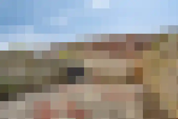 Moerbalk 73 Hoorn thumbnail 17