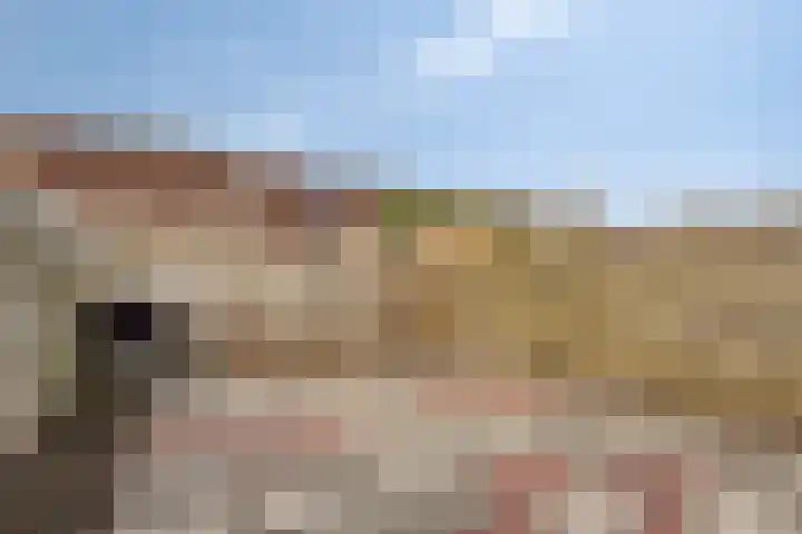 Moerbalk 73 Hoorn thumbnail 18