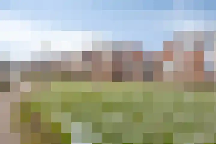Moerbalk 73 Hoorn thumbnail 20