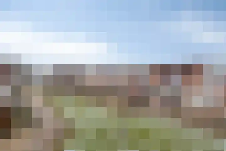 Moerbalk 73 Hoorn thumbnail 21