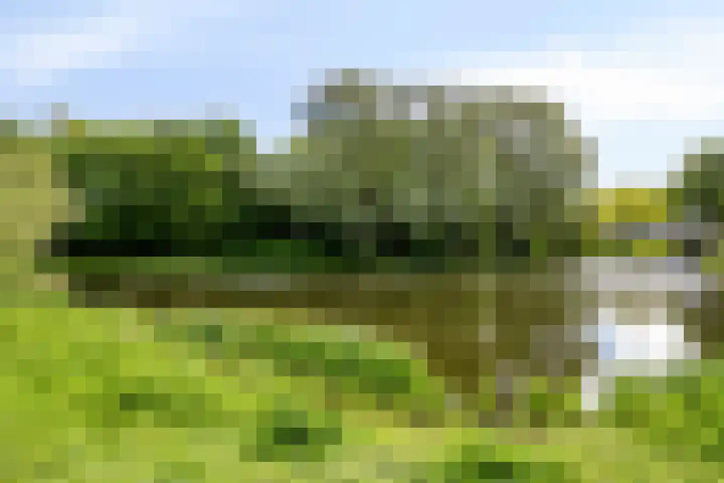 Moerbalk 83 Hoorn thumbnail 25