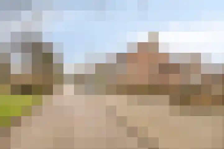 Moerbalk 84 A Hoorn thumbnail 24