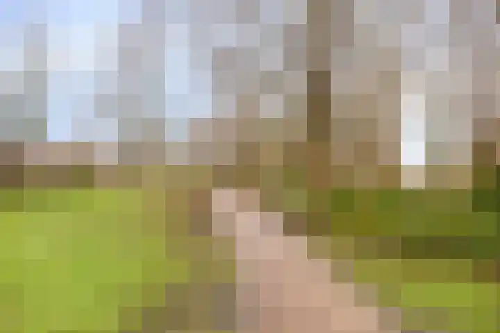 Moerbalk 84 A Hoorn thumbnail 25