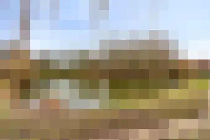 Moerbalk 84 A Hoorn thumbnail 27