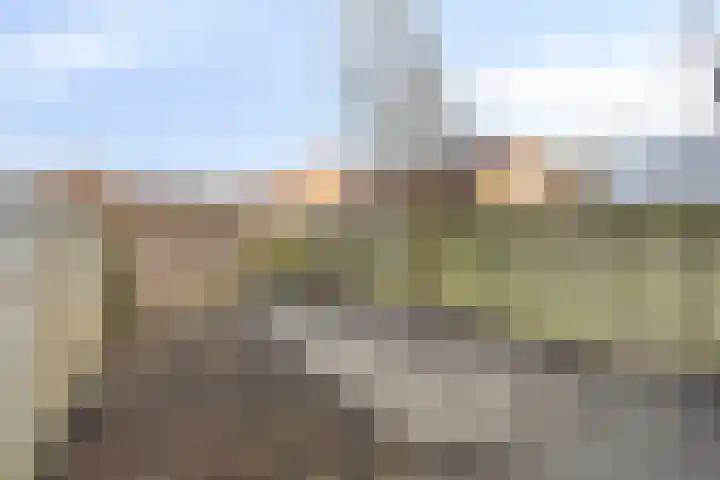 Moerbalk 95 Hoorn thumbnail 21