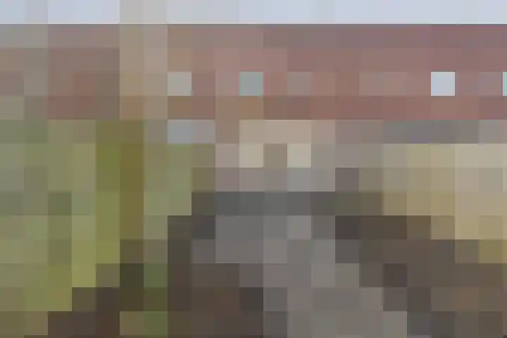 Moerbalk 95 Hoorn thumbnail 22