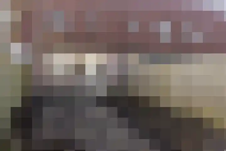 Moerbalk 95 Hoorn thumbnail 23