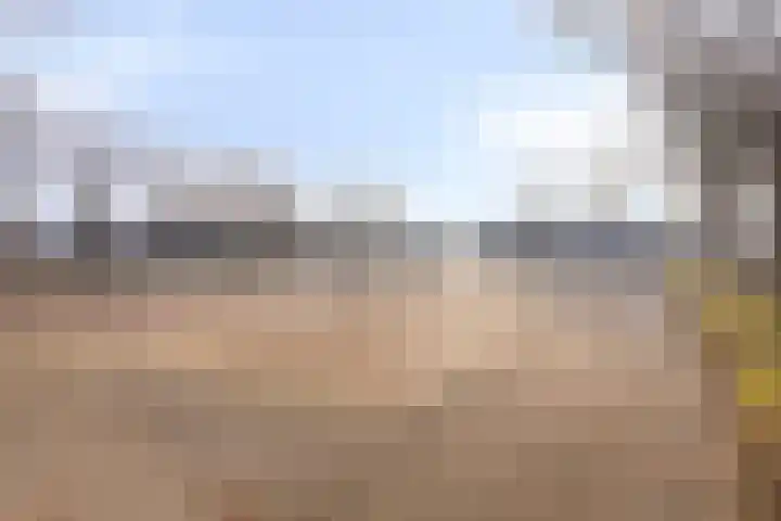 Moerbalk 95 Hoorn thumbnail 24
