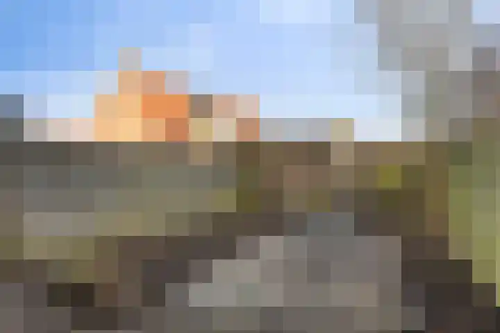 Moerbalk 95 Hoorn thumbnail 6