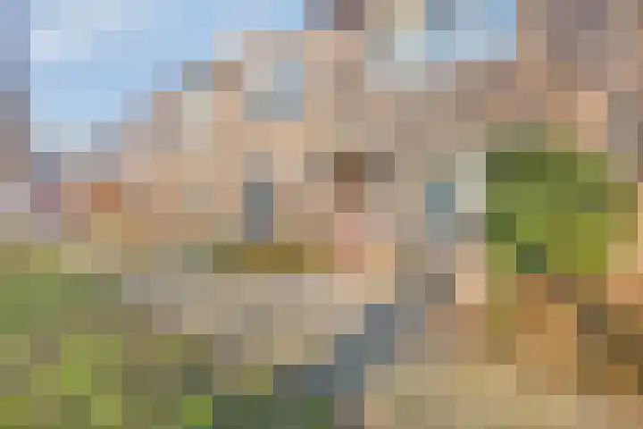 Moerbalk 95 Hoorn thumbnail 8