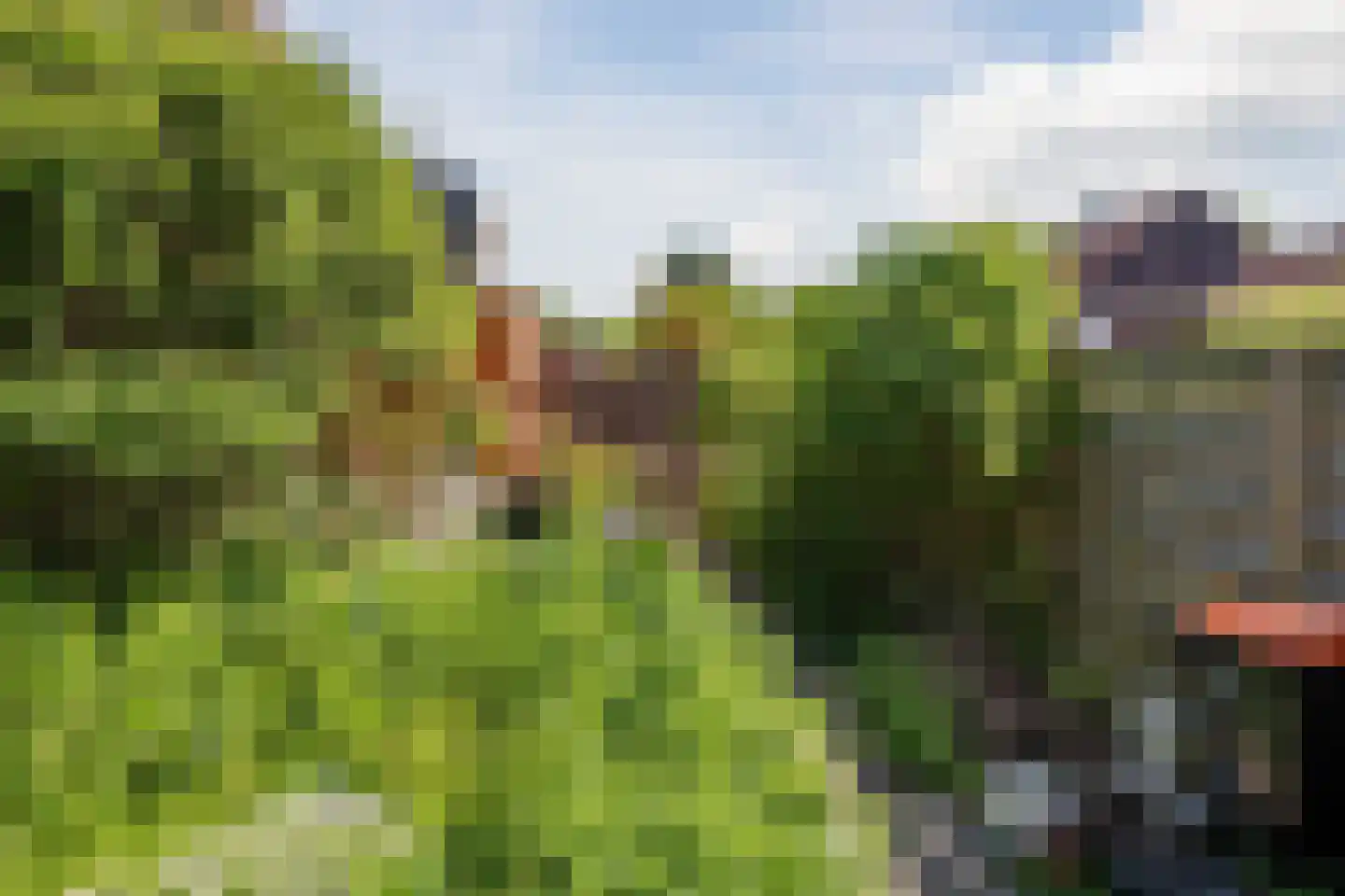 Moerbalk 97 Hoorn thumbnail 38