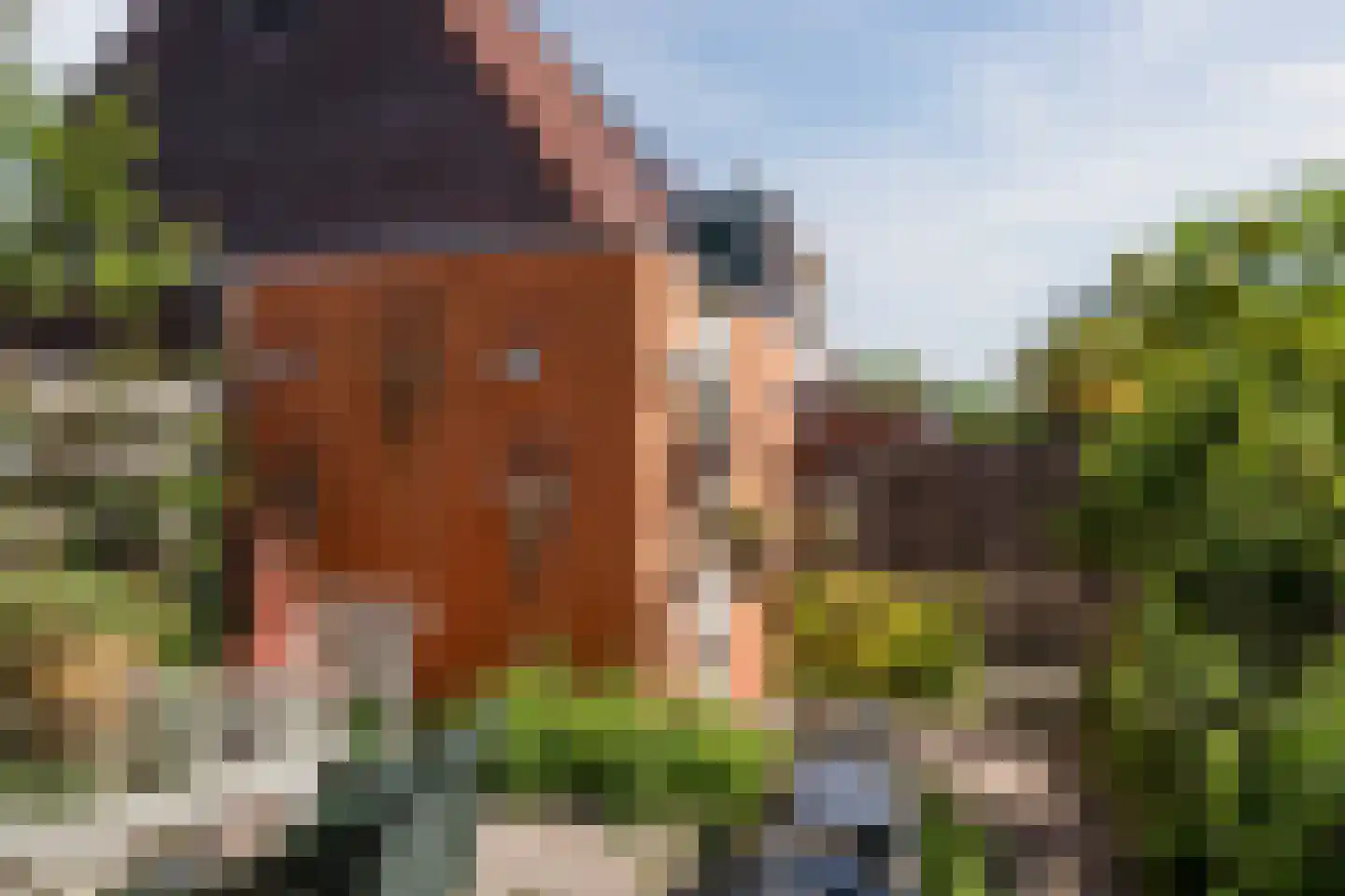 Moerbalk 97 Hoorn thumbnail 39