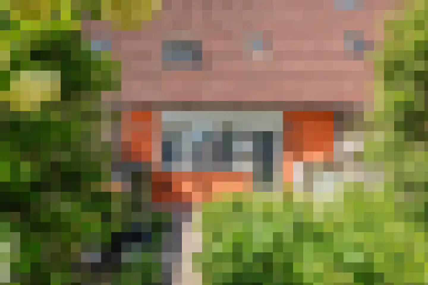 Moerbalk 97 Hoorn thumbnail 41