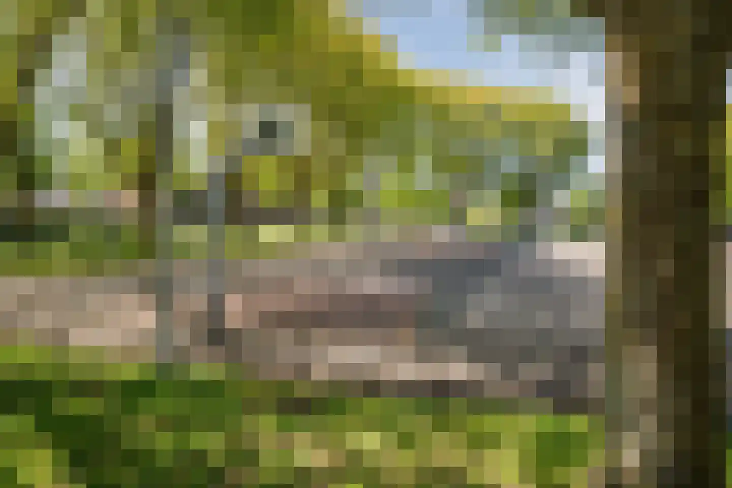 Moerbalk 97 Hoorn thumbnail 44