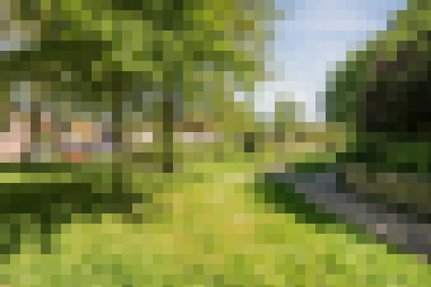 Moerbalk 97 Hoorn thumbnail 45