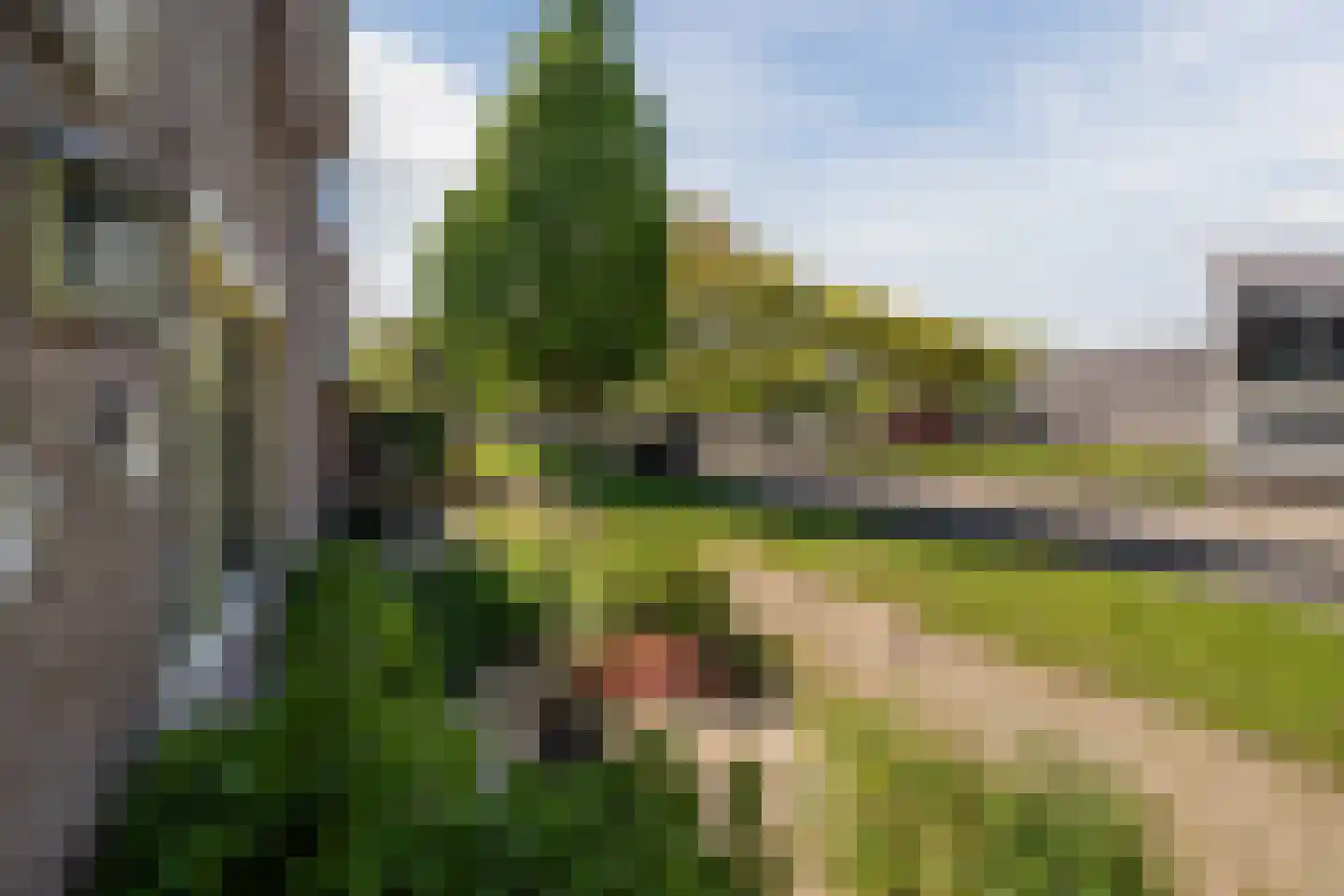 Moerbalk 97 Hoorn thumbnail 8