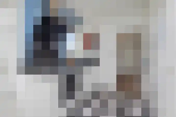 Moerbeek 3 't Veld thumbnail 17