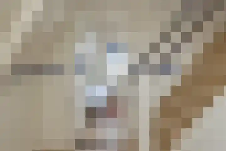 Moerbeek 3 't Veld thumbnail 38