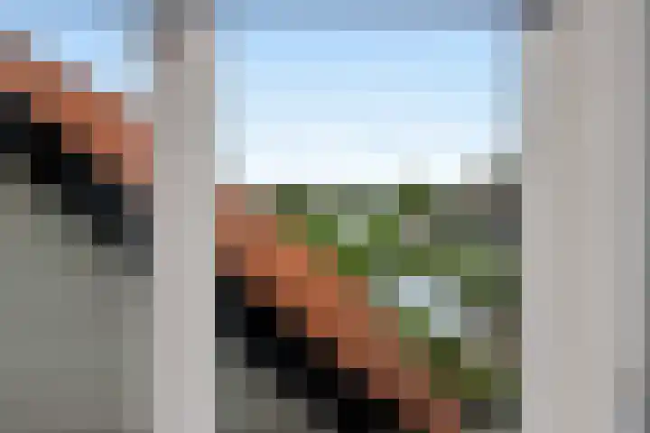 Moerbeek 3 't Veld thumbnail 44