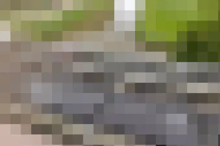 Moerbeek 3 't Veld thumbnail 49