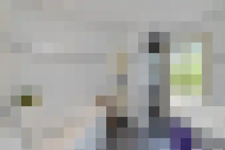 Moerbeek 3 't Veld thumbnail 5
